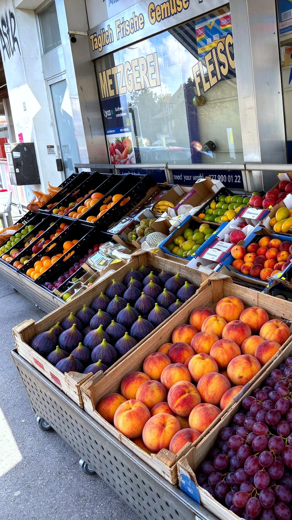 Frische Feigen und mediterrane Früchte im Supermarkt RAMI
